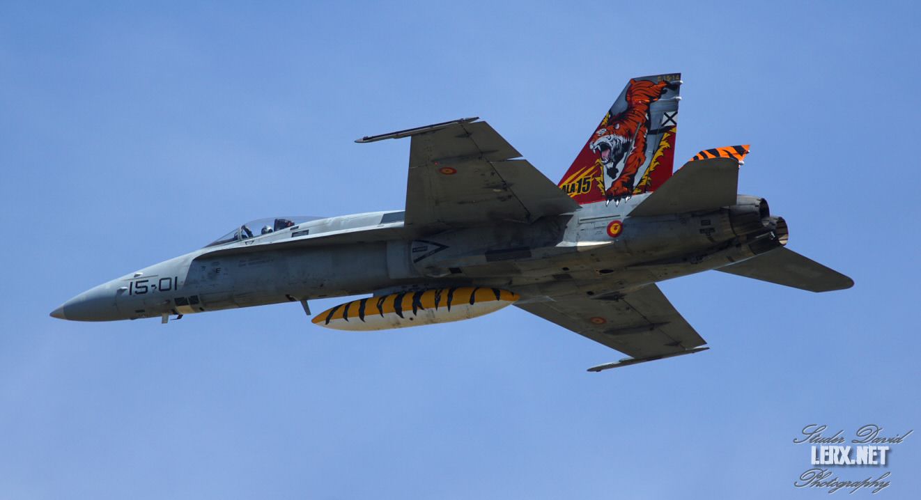 FA-18 Espagnol 0009  LERX NET.jpg